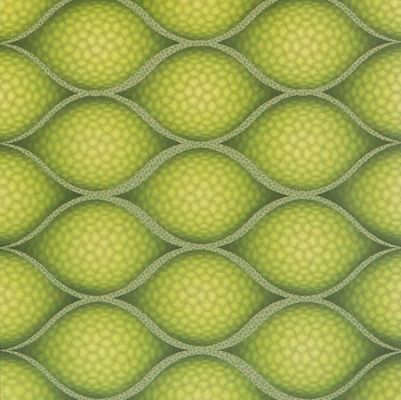 PD117 Waterproof 3D PVC Panel / Board for Wall and Ceiling Package Gross Weight 3.000kg